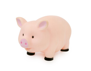 Pig rubber toy isolated on white background