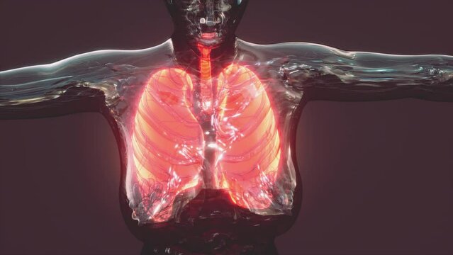 Coronavirus covid-19 infection in the lungs