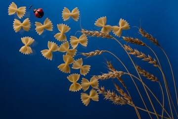 wheat, pasta and ladybug on blue background 