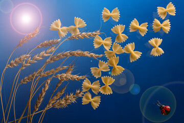 wheat, pasta and ladybug on blue background 