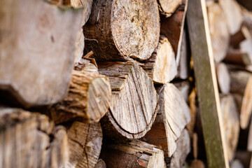Stack of logs