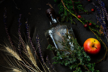 gin bottle with juniper and dried herbs at dark background