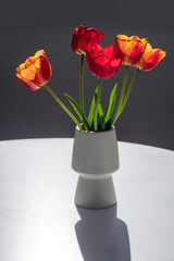 Bouquet of red and yellow tulips in a white vase on a grey background.