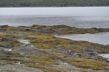 river and rocks