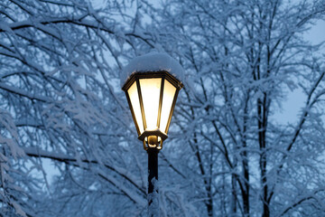 Fototapeta na wymiar luminous street lamp in the park in winter