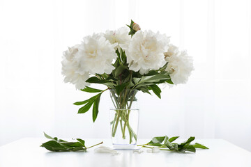 white peonies in a vase and fallen leaves on a white vintage table  - copy space