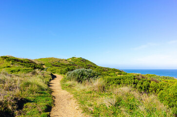 Naklejka premium path to the sea