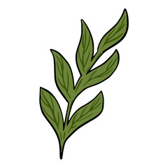 Hand drawn branch with leaves