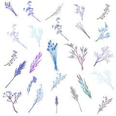 Collection of floral design elements,  texture for fabric, packaging, textile, wallpaper, clothes