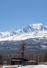 forest winter mointain