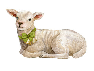 Watercolor lamb, white sheep illustration,cute easter lamb isolated on white background. Fluffy pet, farmhouse animal in vintage style © Fefelova Yana