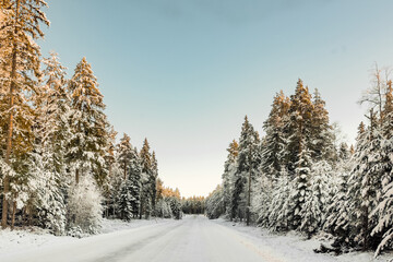 Winter road 