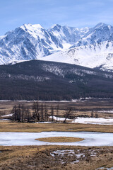 forest winter mointain