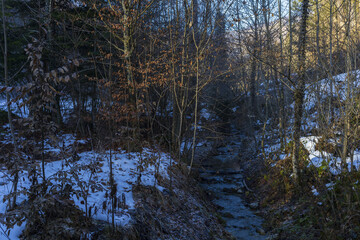 Small creek surrounded by trees in Alp mountains on sunny winter day
