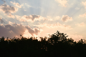 Skyline. Sky sunshine. Background cloud.