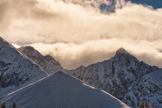 Landscape in Winter