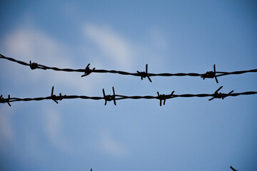 barbed wire on the wall. close-up barbed wire.