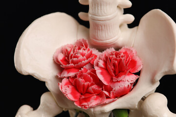Blooming Pelvis bone decorated with flowers. Human anatomy art. Gynecology, Fertility, Female...
