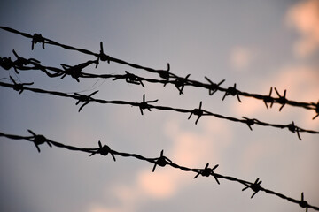 barbed wire on the wall. close-up barbed wire.
