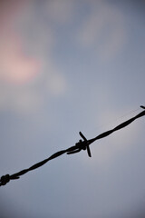 barbed wire on the wall. close-up barbed wire.