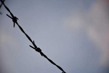 barbed wire on the wall. close-up barbed wire.