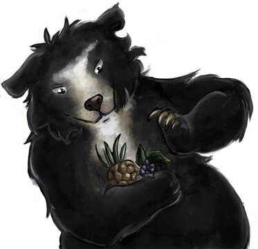 oso andino comida 