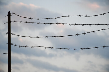 barbed wire on the wall. close-up barbed wire.