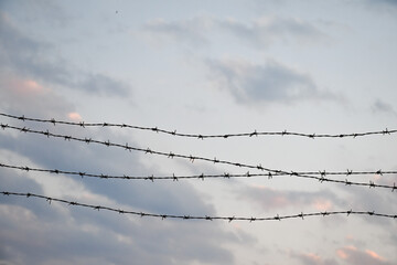 barbed wire on the wall. close-up barbed wire.