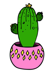Cute hand drawn simple cactus. Houseplant in a pot. Colorful cacti illustration isolated on white background. Cozy home doodle.