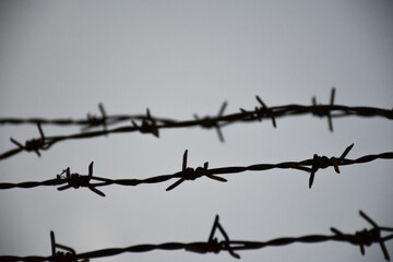 barbed wire on the wall. close-up barbed wire.
