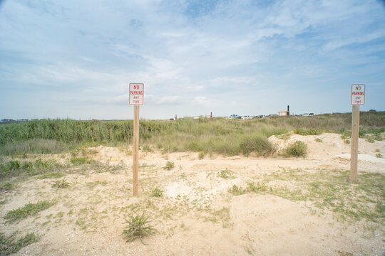 pair of No Parking Amy Time metal signs on square cut wooden posts posted ahead of protected sand dunes with green grass and plant life rooting and taking hold helping prevent erosion