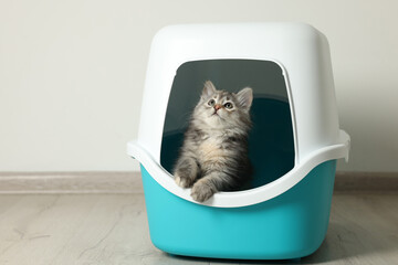 Cute fluffy kitten in closed litter box at home, space for text © New Africa