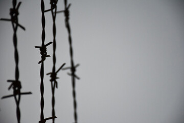barbed wire on the wall. close-up barbed wire.