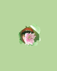 Red lips with protruding tongue and pink flower on a green background. Minimal love lay out