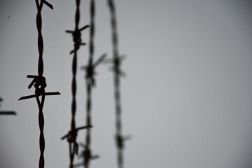 barbed wire on the wall. close-up barbed wire.