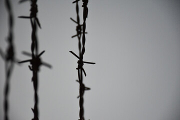 barbed wire on the wall. close-up barbed wire.