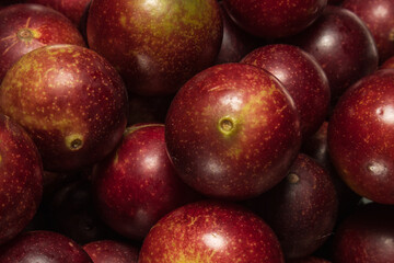 Camu camu fruits, an exotic plant from the Amazon, used in the preparation of various inputs, such as soft drinks, sweets, etc., it is very common to find it in the city of Iquitos in Peru, it is brou