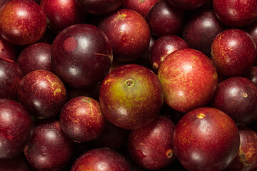 Camu camu fruits, an exotic plant from the Amazon, used in the preparation of various inputs, such as soft drinks, sweets, etc., it is very common to find it in the city of Iquitos in Peru, it is brou
