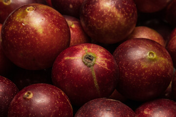Camu camu fruits, an exotic plant from the Amazon, used in the preparation of various inputs, such as soft drinks, sweets, etc., it is very common to find it in the city of Iquitos in Peru, it is brou