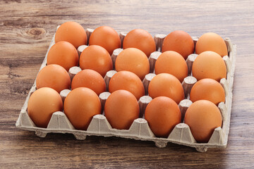 Organic chicken egg in the carton