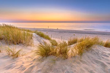 Acrylic prints North sea, Netherlands Sunset View over ocean from dune in Zeeland