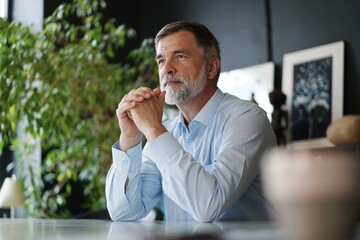 Mature professional businessman smiling. Confident entrepreneur, leader, manager sitting in office