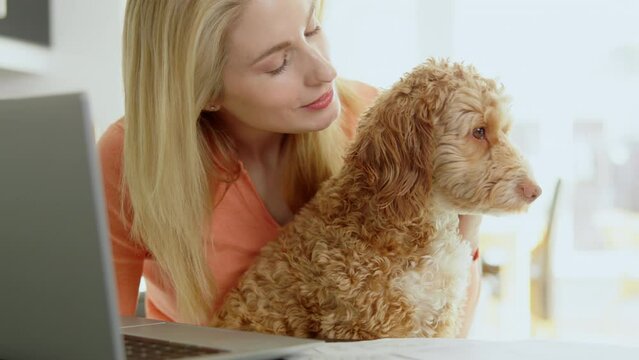 Woman With Pet Cockapoo Dog Researching Insurance On Laptop At Home 