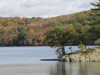 autumn landscape with lake