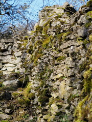 mousse verte et lierre rampant sur un muret de pierre sèche et plate le long d'un chemin de terre