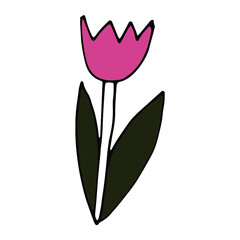 doodle flower tulip