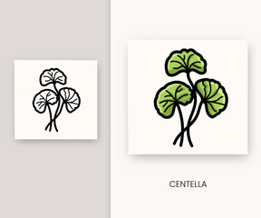 Centella is a green plant