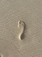 Fototapeta na wymiar footprints on the sandy shore of the ocean in summer