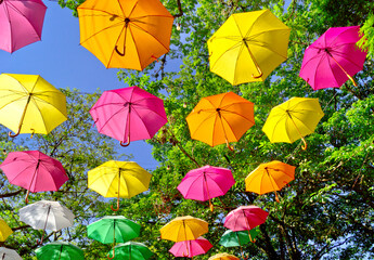 Fototapeta na wymiar decorative umbrellas hanging high among the trees, in Holambra, Brazil