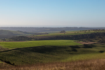 Fototapeta na wymiar Looking out over a Sussex farm landscape on a sunny winters day